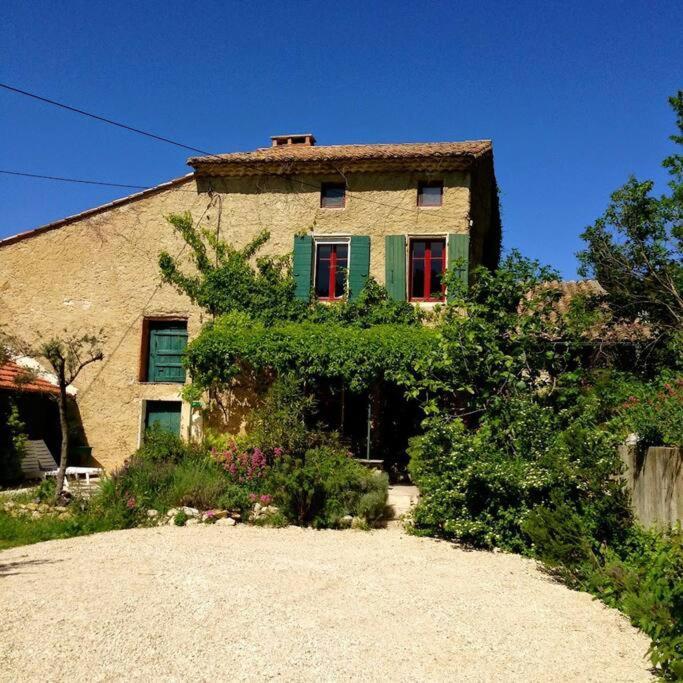 Mas Des Bergines, Au Milieu Des Vignes Villa Vacqueyras Bagian luar foto